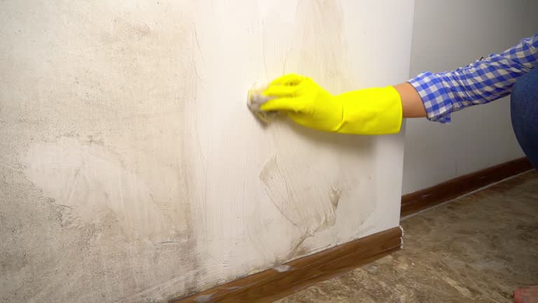 Best Mold Documentation for Insurance Claims  in Hondo, TX